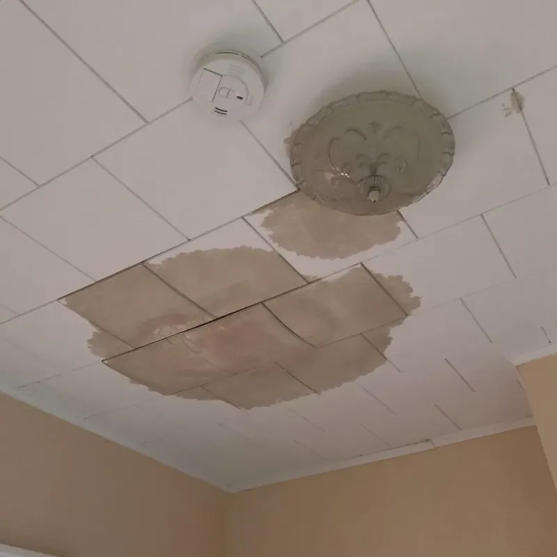 Ceiling Water Damage Repair in Carson, ND
