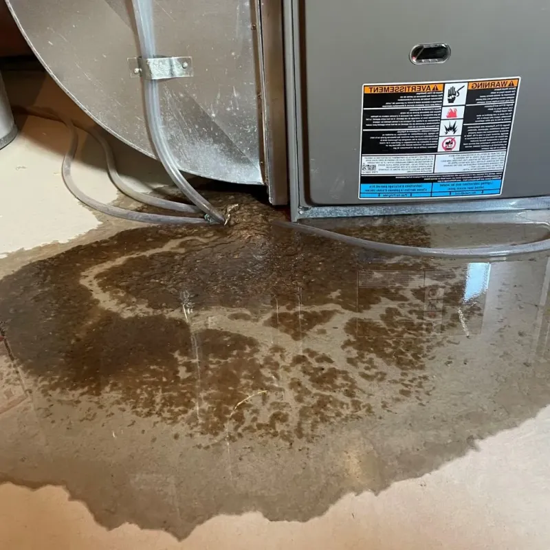 Pipe Burst and Leak Restoration in Carson, ND