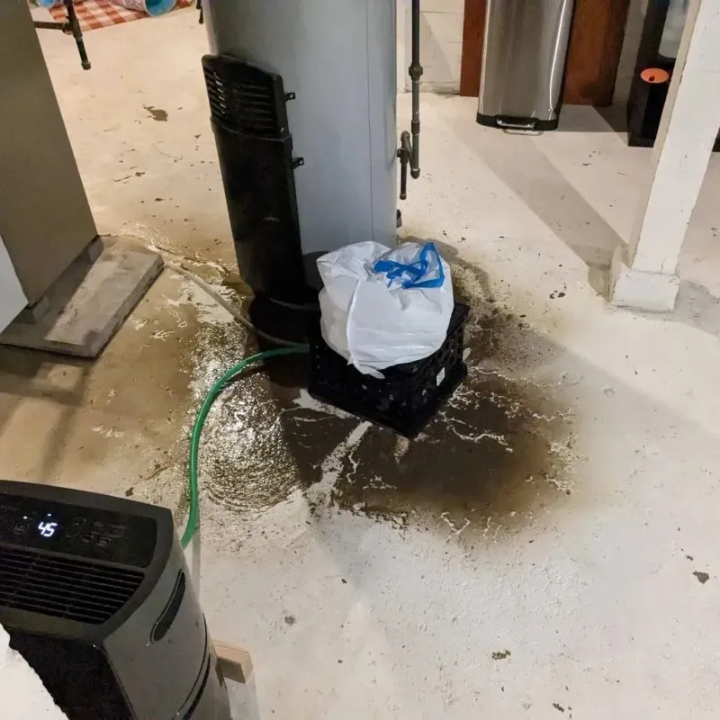 Sewage Backup Cleanup Service in Carson, ND